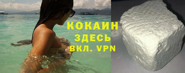 молекула духа Мегион