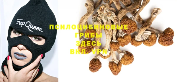 альфа пвп Медногорск