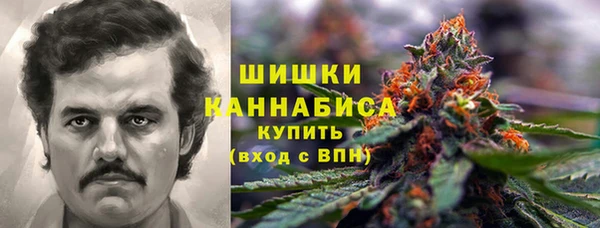 молекула духа Мегион